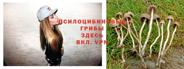 мдпв Зерноград