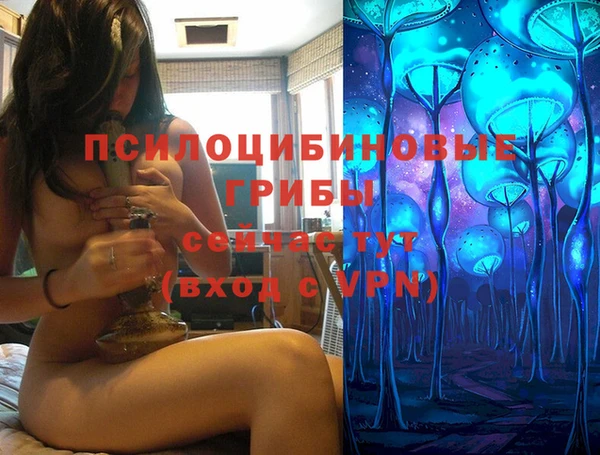 mdma Зеленокумск