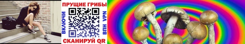 Купить закладки  Ялуторовск  Галлюциногенные грибы Psilocybine cubensis 