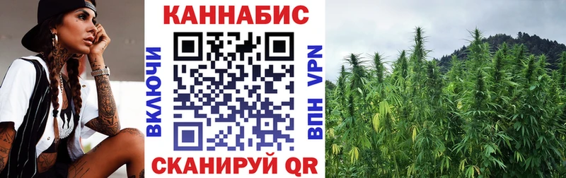 Купить закладки  Ялуторовск  Бошки марихуана THC 21% 